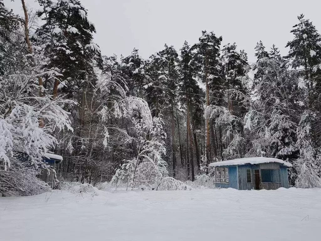 База отдыха 1 га в сосновом бору в Бунырево - Фото 0