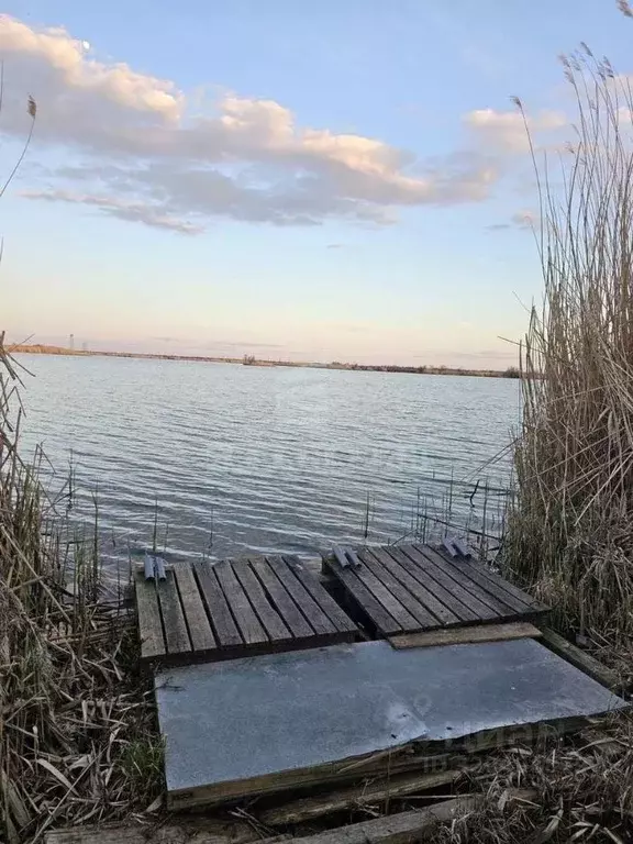 Участок в Волгоградская область, Волгоград Факел СНТ, ул. 1-я (6.07 ... - Фото 1