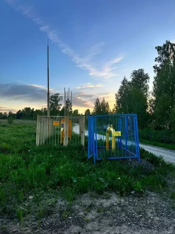 Участок в Томская область, Томский район, с. Кафтанчиково Совхозная ... - Фото 1