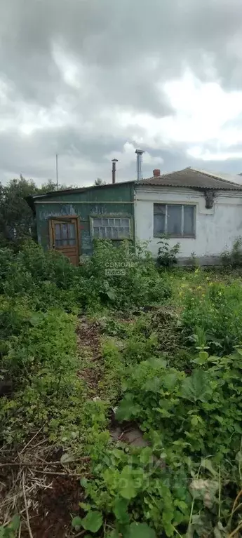 2-к кв. Рязанская область, Михайлов Элеваторная ул., 5 (42.4 м) - Фото 1