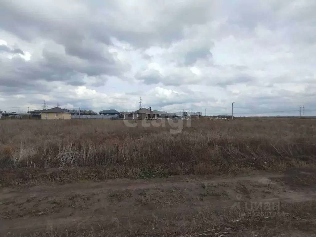 Участок в Белгородская область, Белгородский район, Поселок Разумное ... - Фото 2