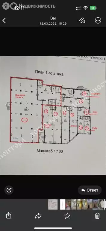 Помещение свободного назначения (53 м) - Фото 1
