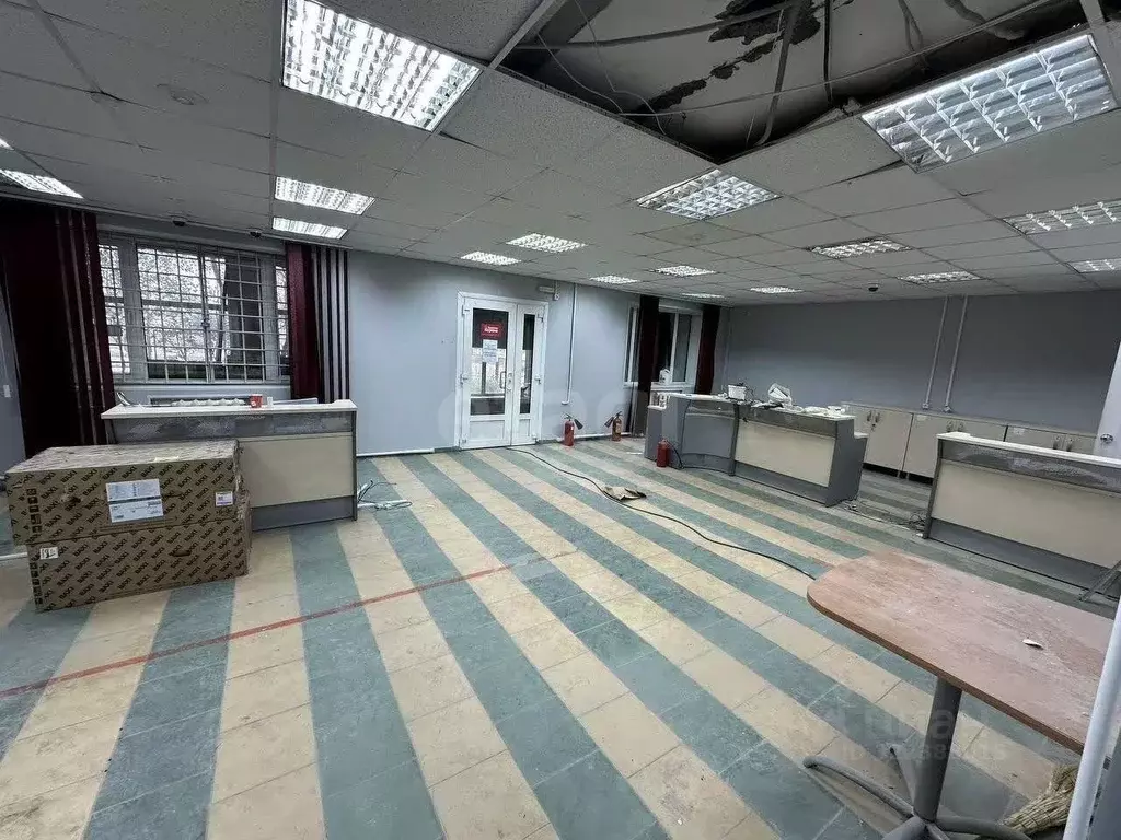 Помещение свободного назначения в Ямало-Ненецкий АО, Новый Уренгой ... - Фото 2