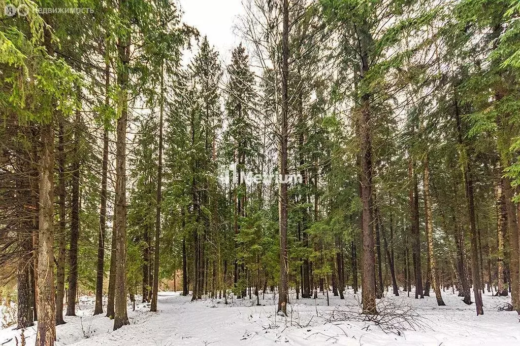Участок в деревня Дарьино, территория Новое Николино (26 м) - Фото 0