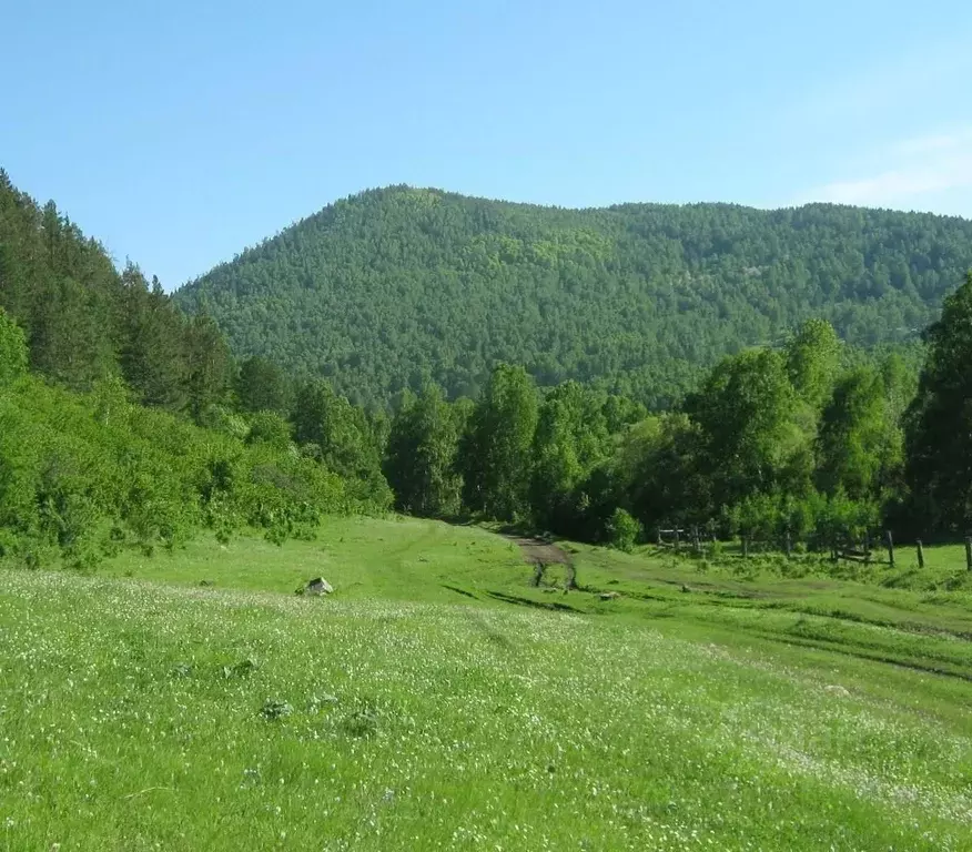 Участок в Хакасия, Бейский район, д. Дехановка  (16.5 сот.) - Фото 1