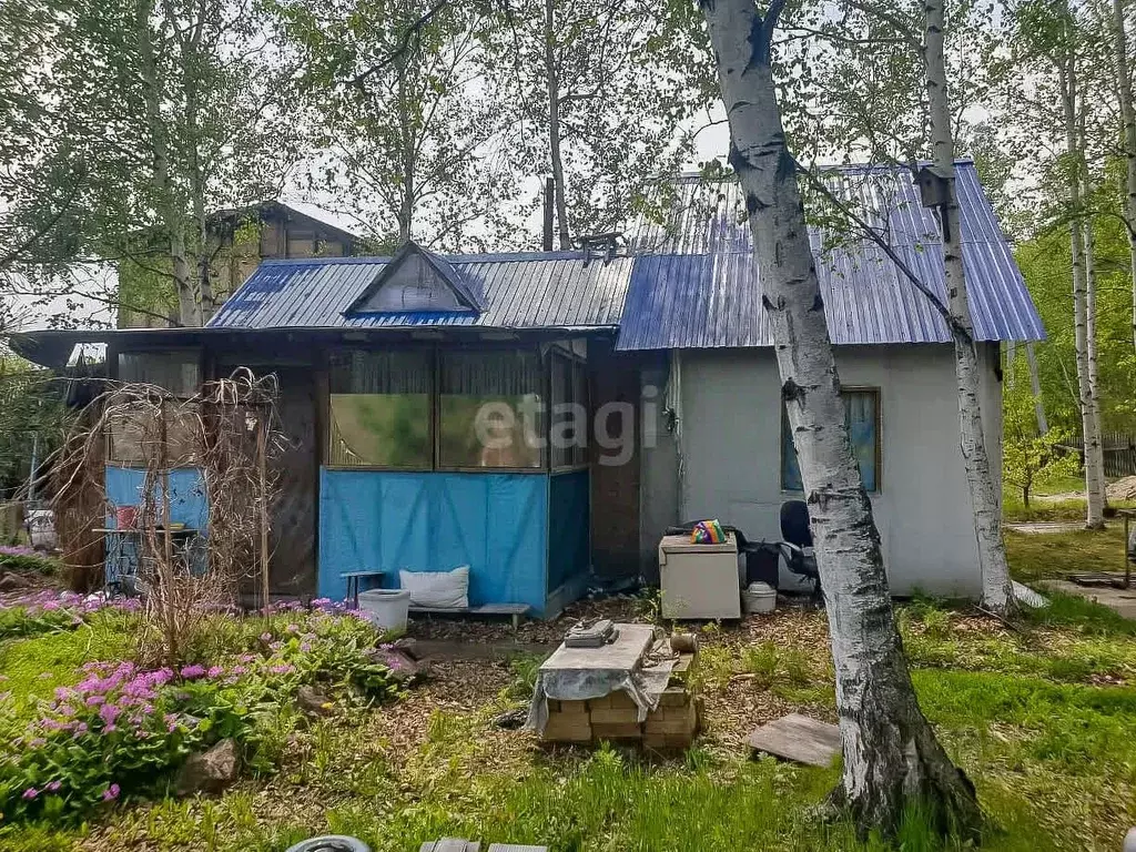 Дом в Еврейская автономная область, Смидовичский район, Минерал СНТ ... - Фото 1