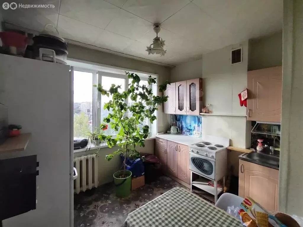 1-комнатная квартира: Барнаул, улица Малахова, 99 (32.6 м) - Фото 1