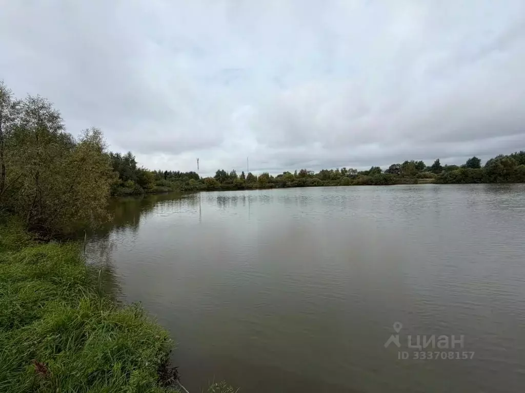 Дом в Московская область, Домодедово городской округ, д. Борисово, ... - Фото 1