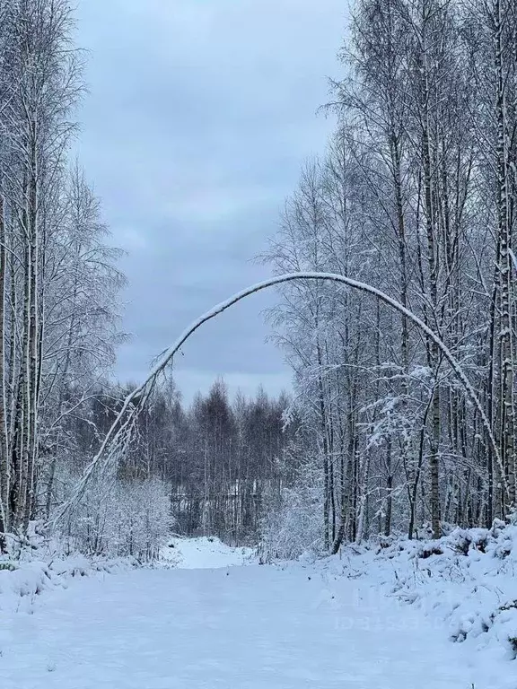 Участок, 7 сот., сельхоз (снт или днп) - Фото 1