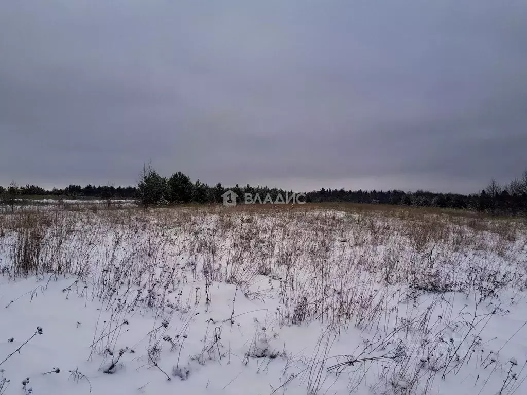 Участок в Владимирская область, Владимир д. Уварово,  (7.43 сот.) - Фото 1