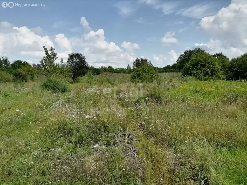 Участок в Хабаровский район, село Краснореченское (15 м) - Фото 0