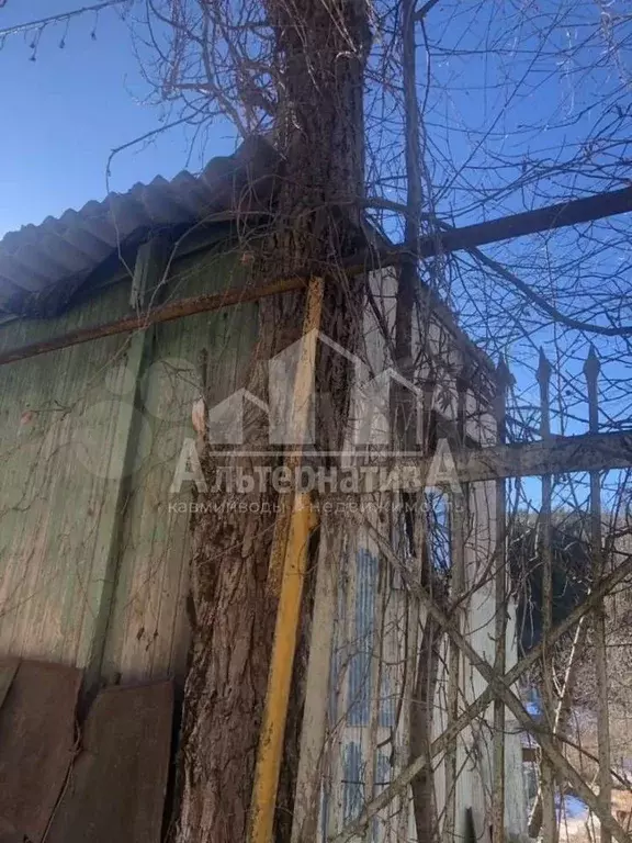 Участок 6 сот. (СНТ, ДНП) - Фото 1