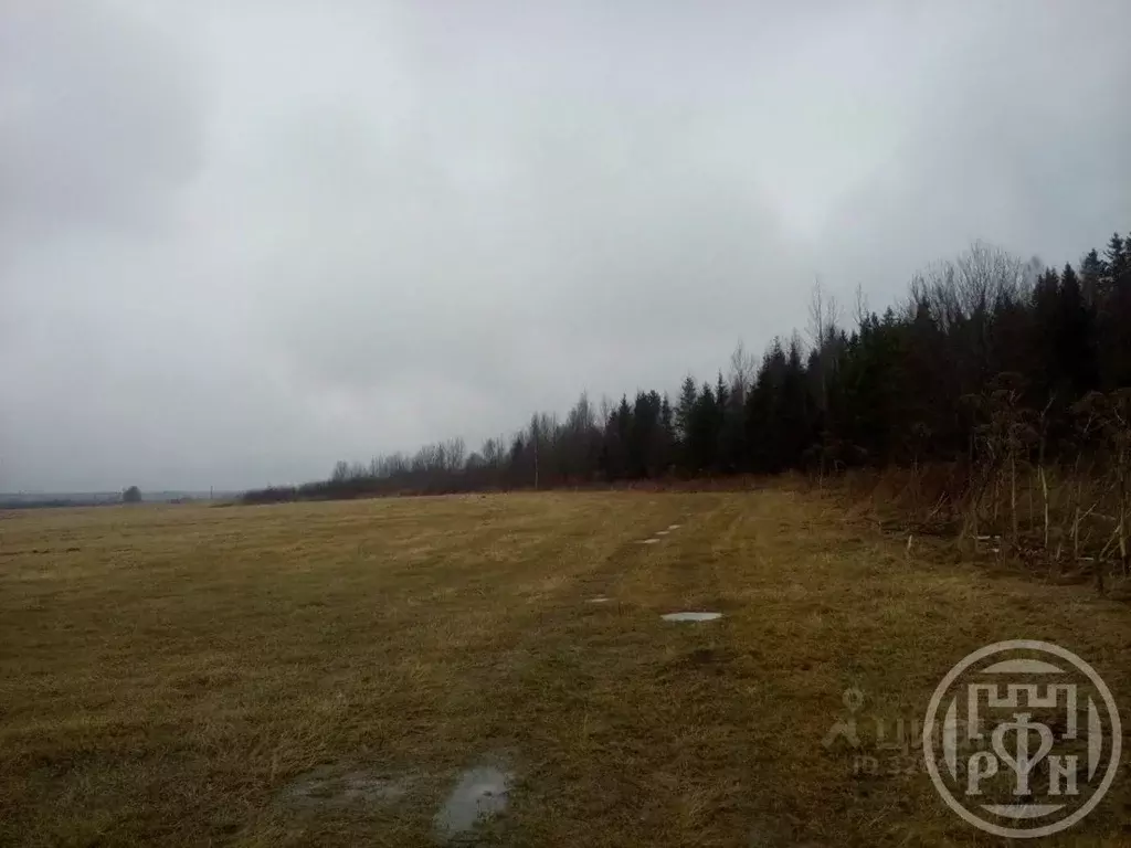 Участок в Ленинградская область, Выборгский район, пос. Гончарово ... - Фото 0