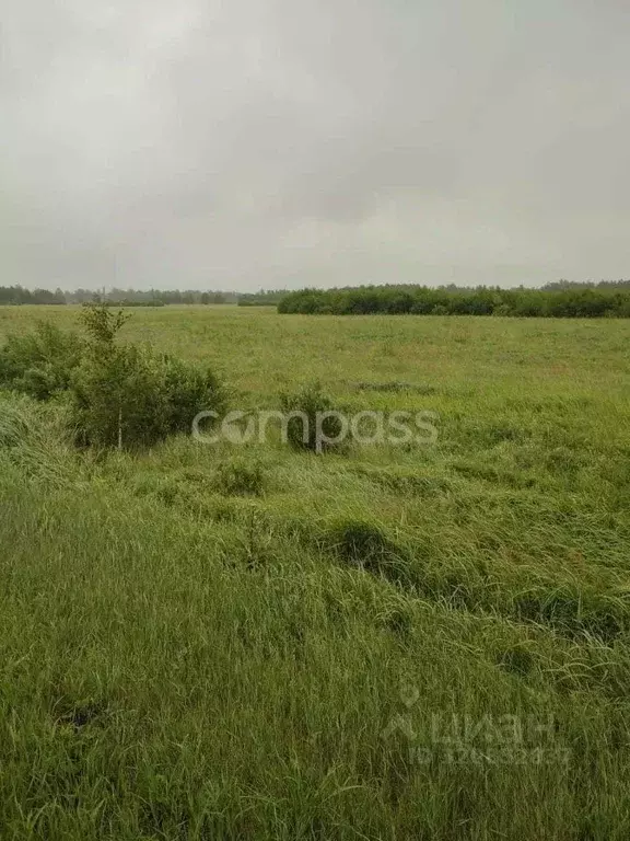 Участок в Тюменская область, Тюменский район, Богандинский пгт  ... - Фото 1