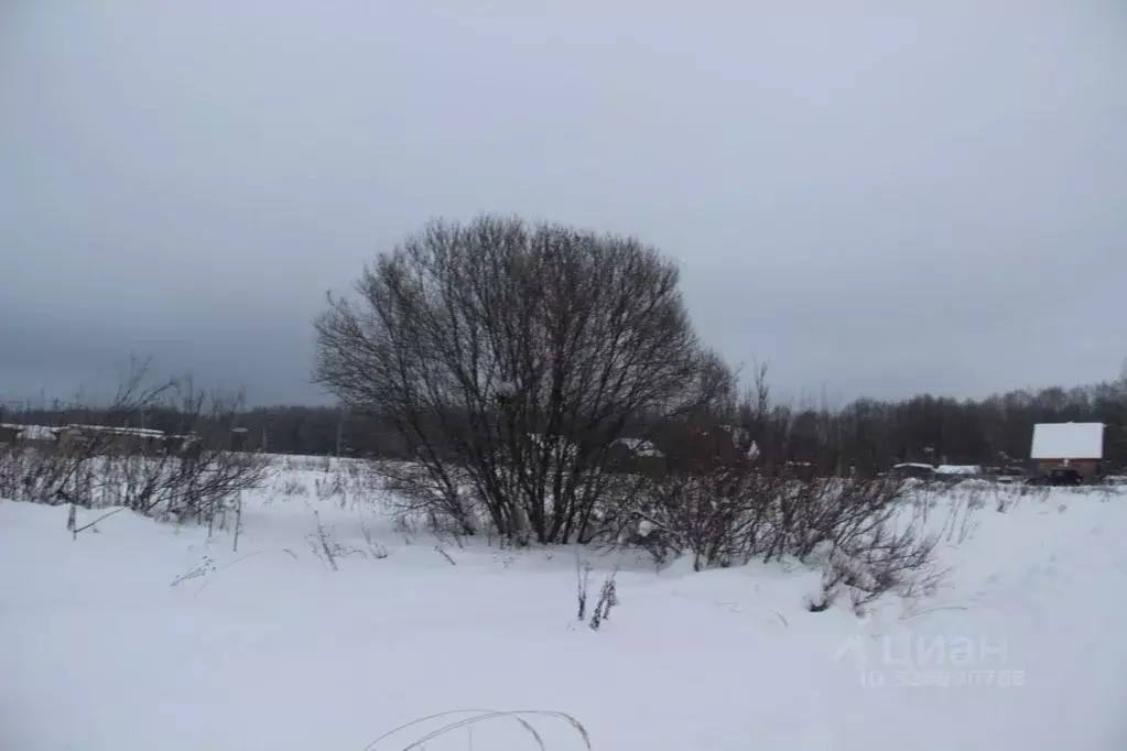 Участок в Московская область, Шаховская муниципальный округ, с. ... - Фото 2