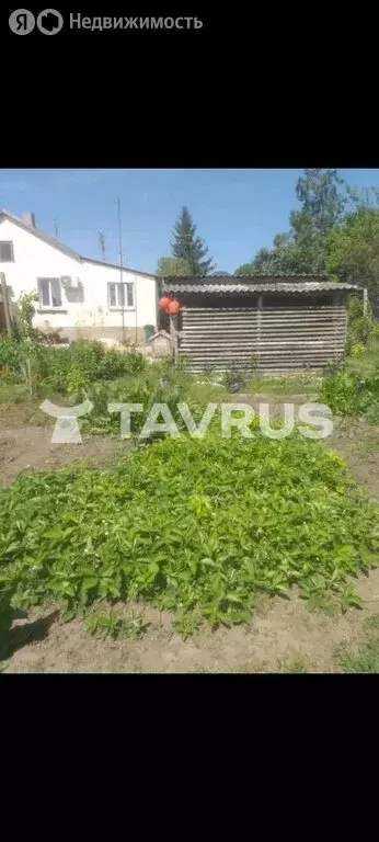 Дом в Урожайное, Виноградная улица (74.5 м) - Фото 1