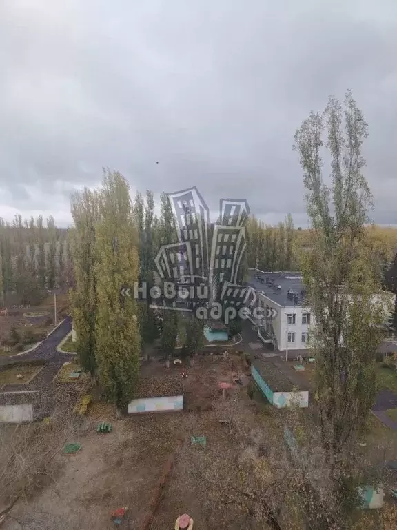 2-к кв. Воронежская область, Воронеж ул. Чебышева, 14 (45.2 м) - Фото 2