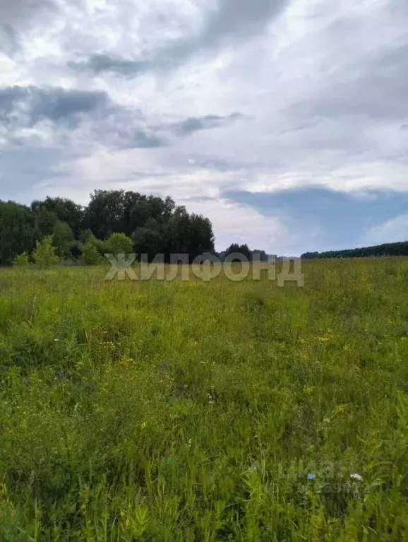Участок в Новосибирская область, Кольцово рп ш. Векторное (30.0 сот.) - Фото 0