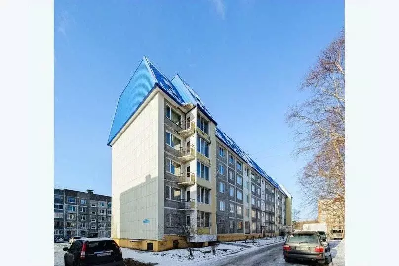3-к кв. Камчатский край, Петропавловск-Камчатский Дальневосточная ул., ... - Фото 1