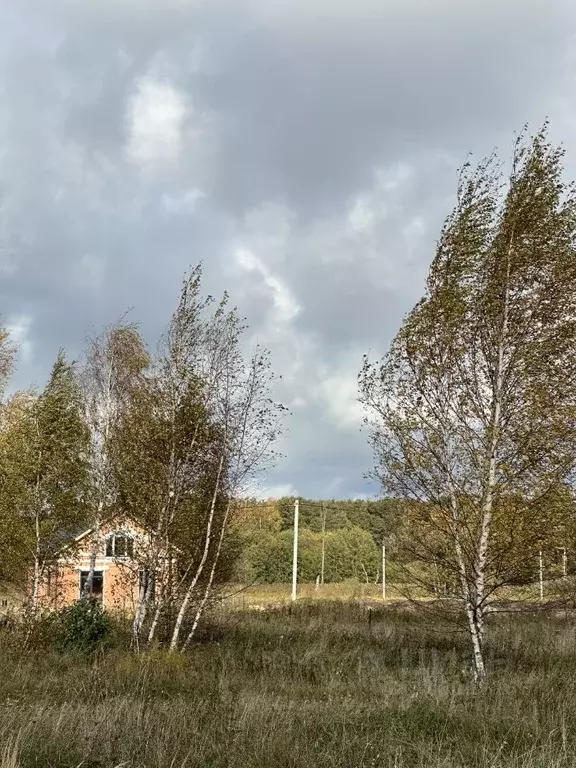 Участок в Калининградская область, Багратионовский муниципальный ... - Фото 0