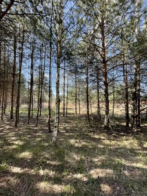 Участок в Московская область, Орехово-Зуевский городской округ, д. ... - Фото 0