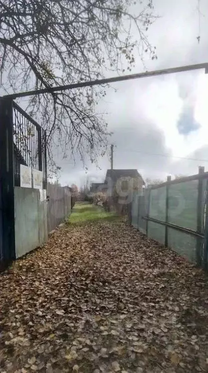 Участок в Ярославская область, Ярославль Волга СНТ, 169 (5.0 сот.) - Фото 2