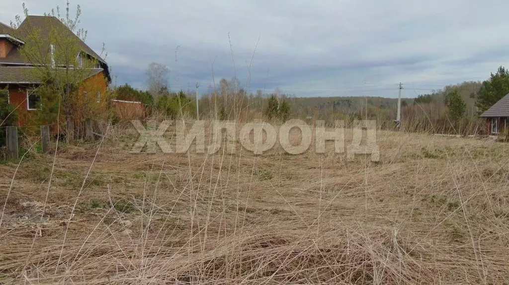 Участок в Новосибирская область, Новосибирский район, Барышевский ... - Фото 1