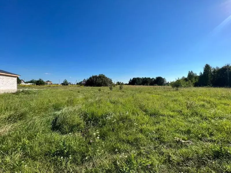 Участок в Брянская область, Брянский район, Добрунское с/пос, с. ... - Фото 1