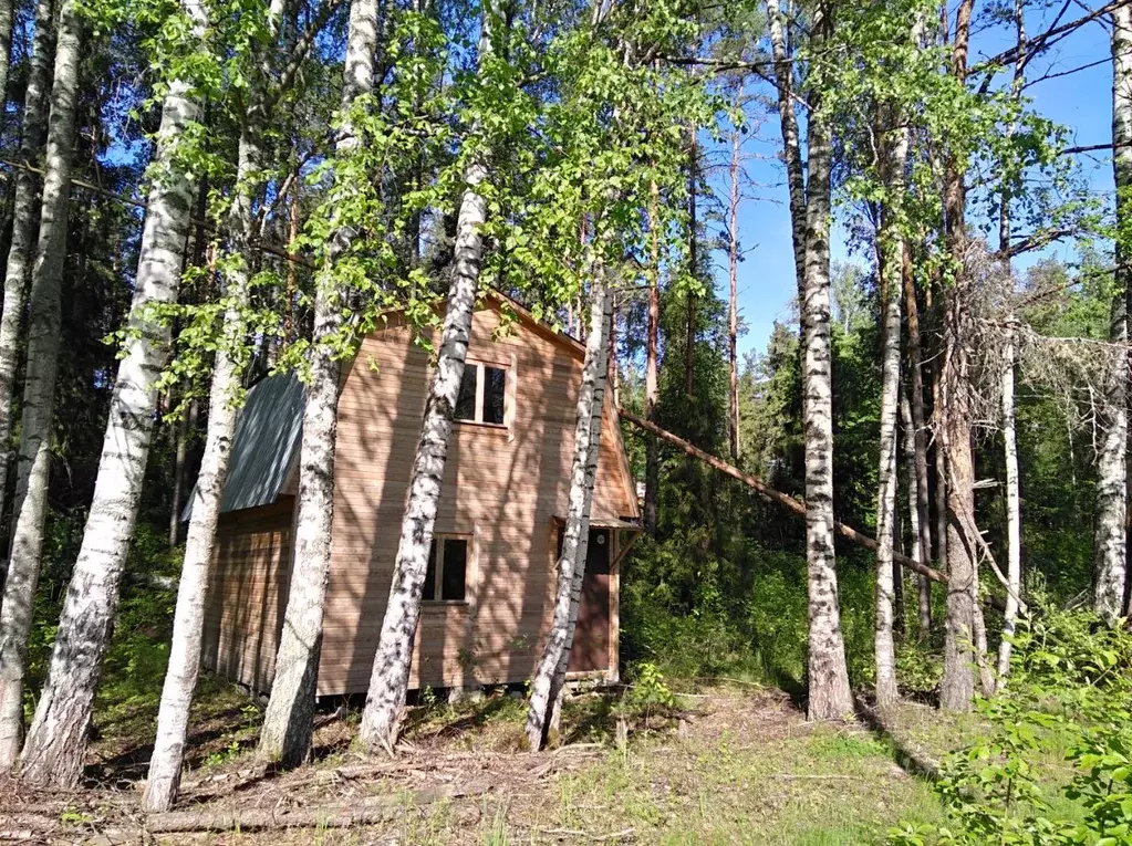 Дом в Нижегородская область, Городецкий муниципальный округ, ... - Фото 1