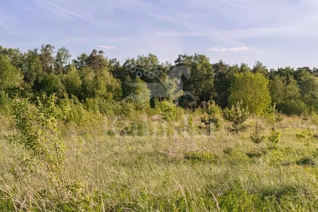Участок в Московская область, Одинцовский городской округ, с. ... - Фото 1