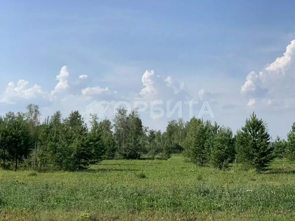 Участок в Тюменская область, Тюменский муниципальный округ, с. ... - Фото 1