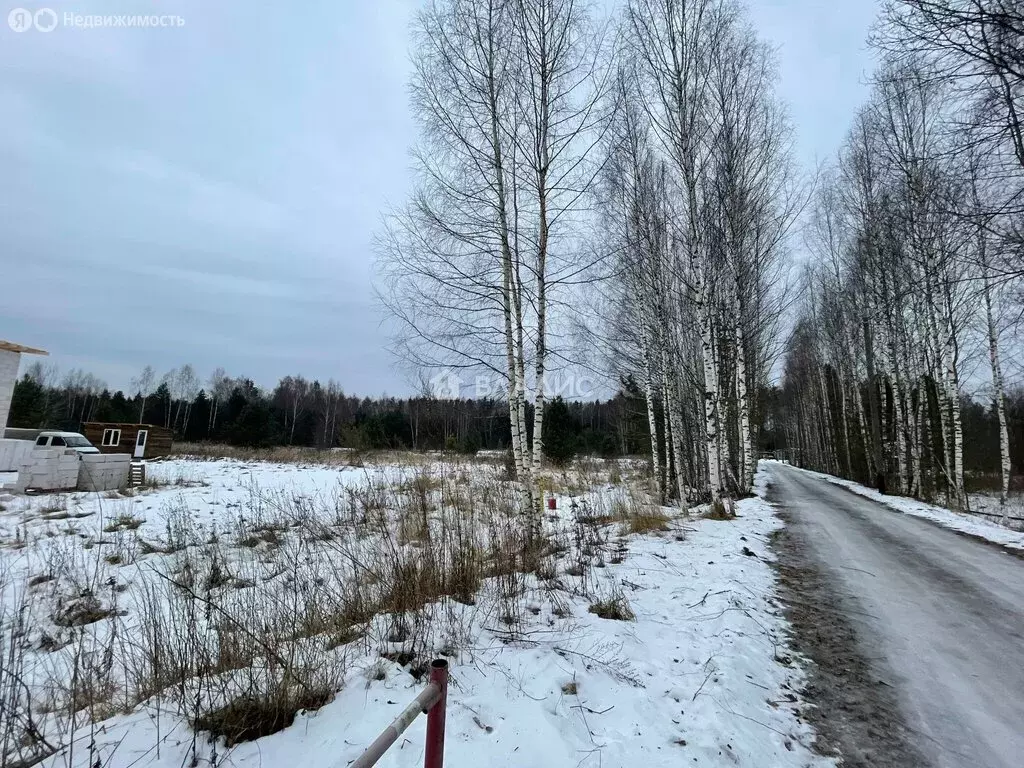 Участок в Судогодский район, муниципальное образование Лавровское, ... - Фото 1