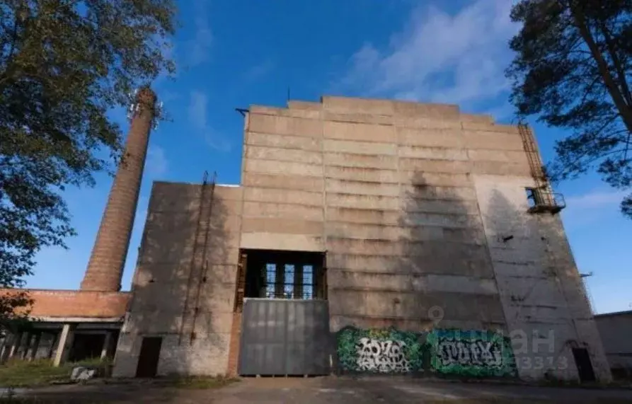 Производственное помещение в Ленинградская область, Всеволожский ... - Фото 1