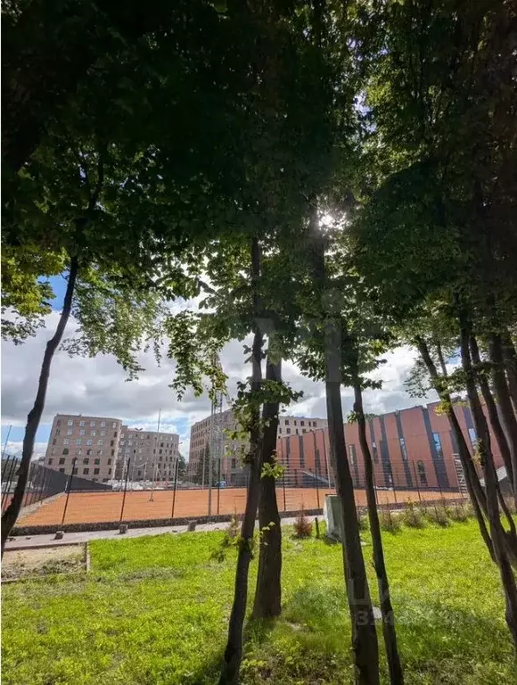 Офис в Калининградская область, Калининград ул. Чекистов, 81к1 (80 м) - Фото 2