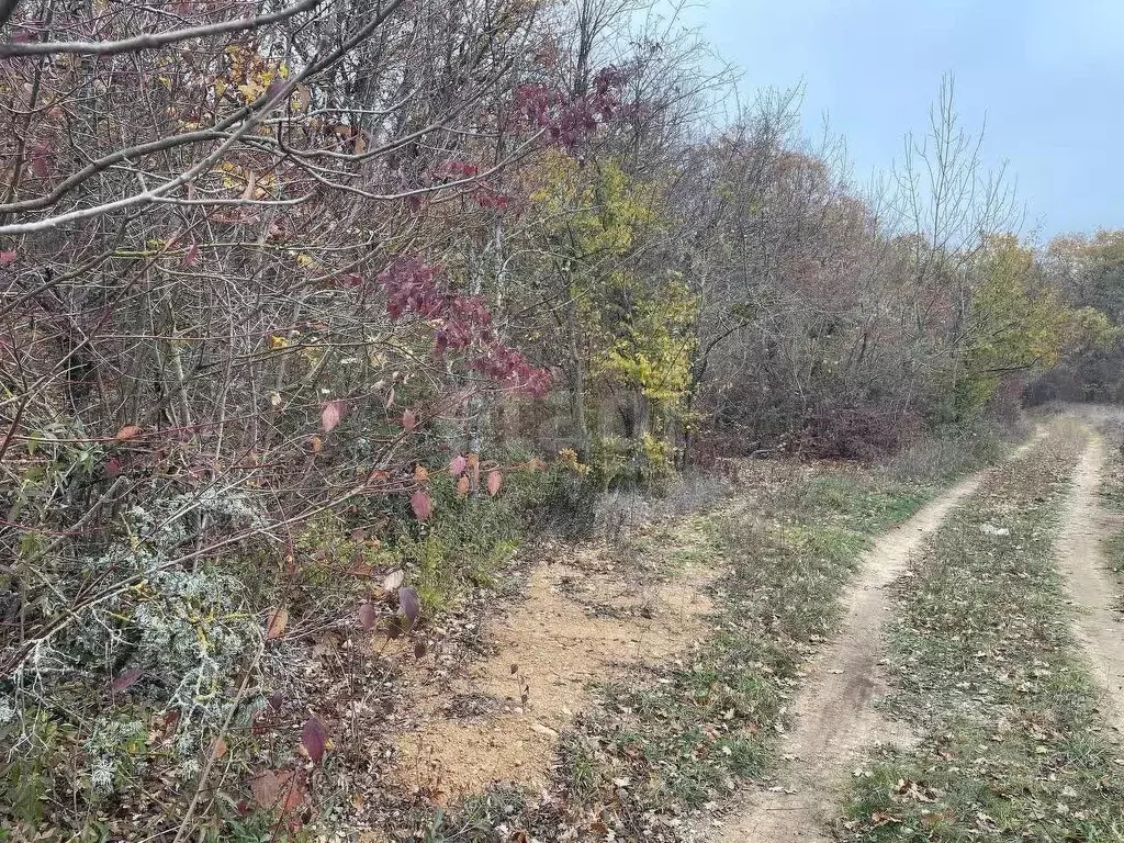 Участок в Крым, Кировский район, Первомайское с/пос, Заря СНТ пер. ... - Фото 2