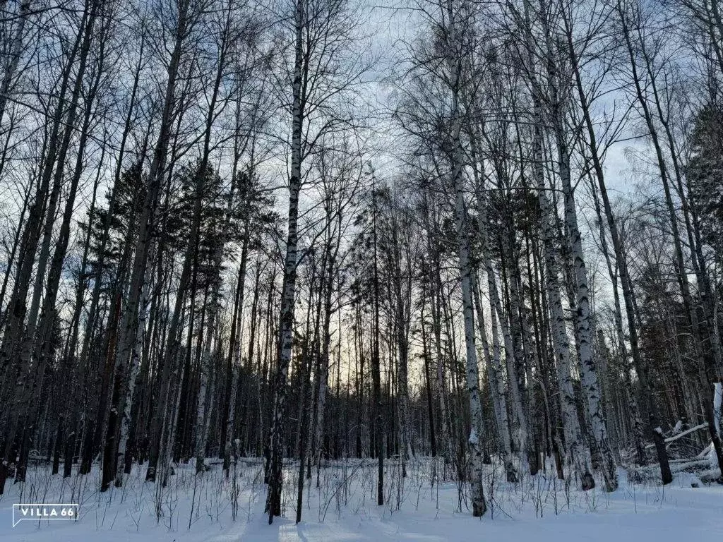 Участок в Свердловская область, Сысертский городской округ, пос. ... - Фото 0