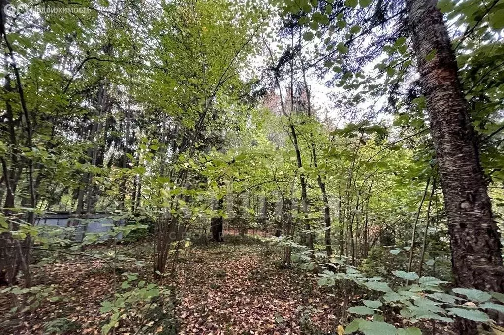 Участок в деревня Жуковка, КП Жуковка-21 (24 м) - Фото 1