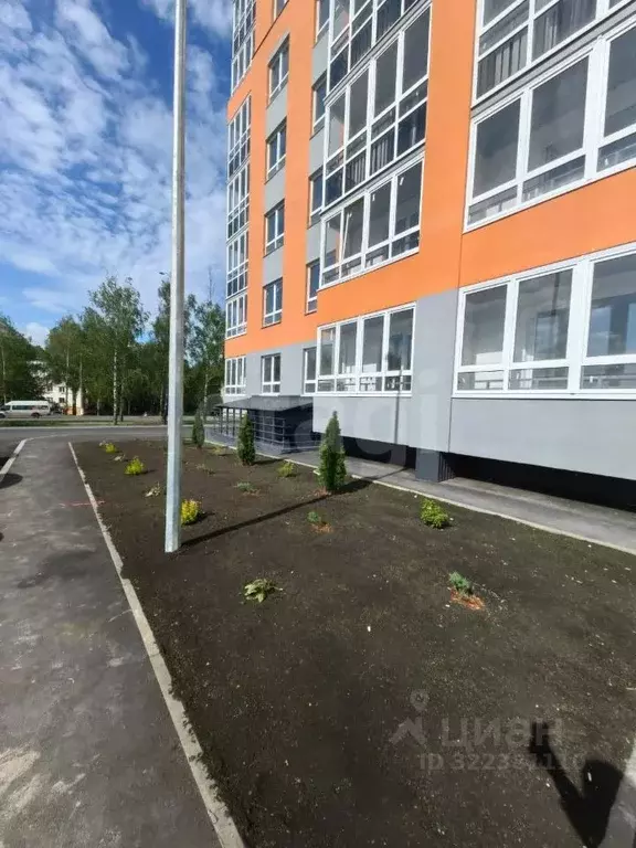 Студия Мордовия, Саранск просп. 60 лет Октября, 2/2 (27.3 м) - Фото 2