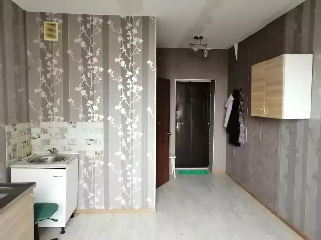 Студия Новосибирская область, Новосибирский район, с. Криводановка, ... - Фото 1