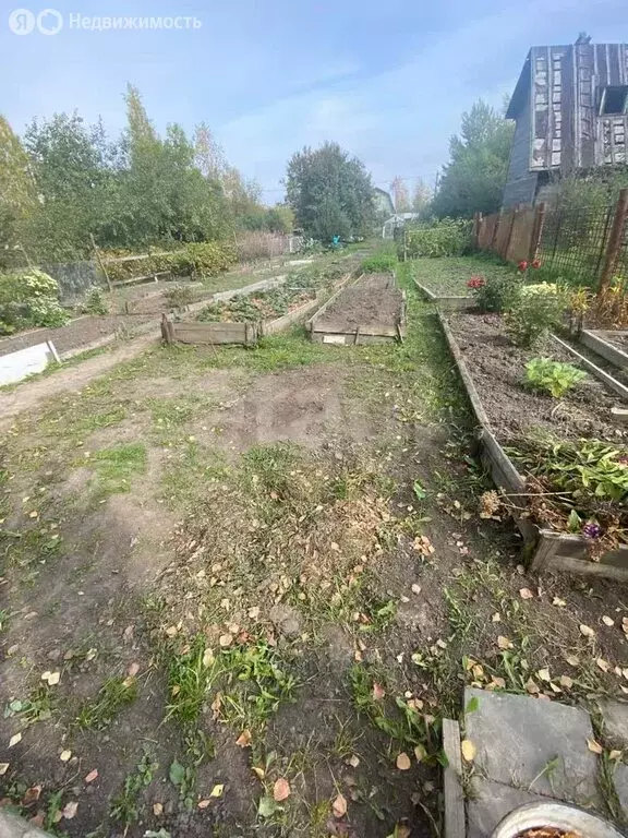 Участок в Вологда, садоводческое товарищество Сохатый (6 м) - Фото 0
