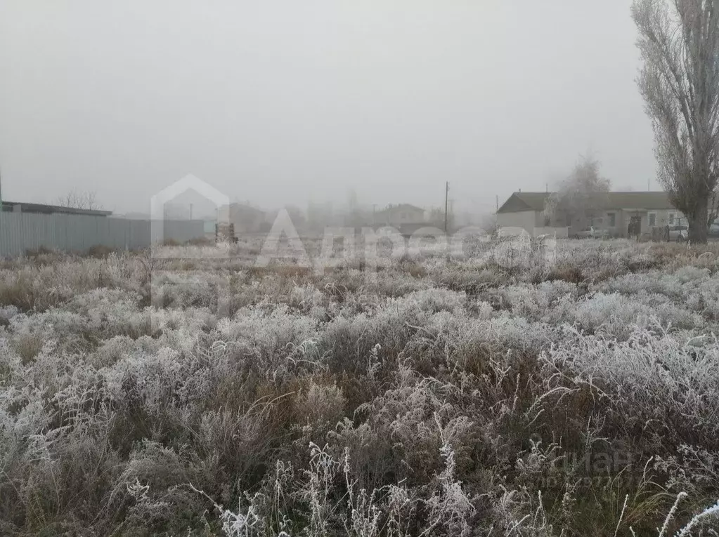 Участок в Волгоградская область, Среднеахтубинский район, Клетское ... - Фото 0