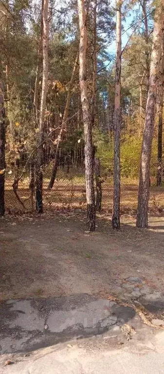 Гараж в Воронежская область, Воронеж Московский просп., 139А (20 м) - Фото 2