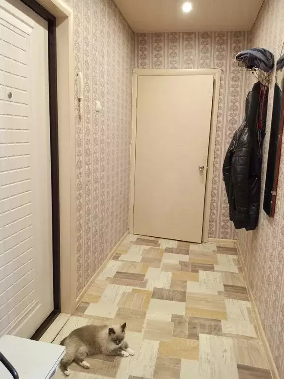 Комната Красноярский край, Сосновоборск ул. Труда, 25 (16.0 м) - Фото 2