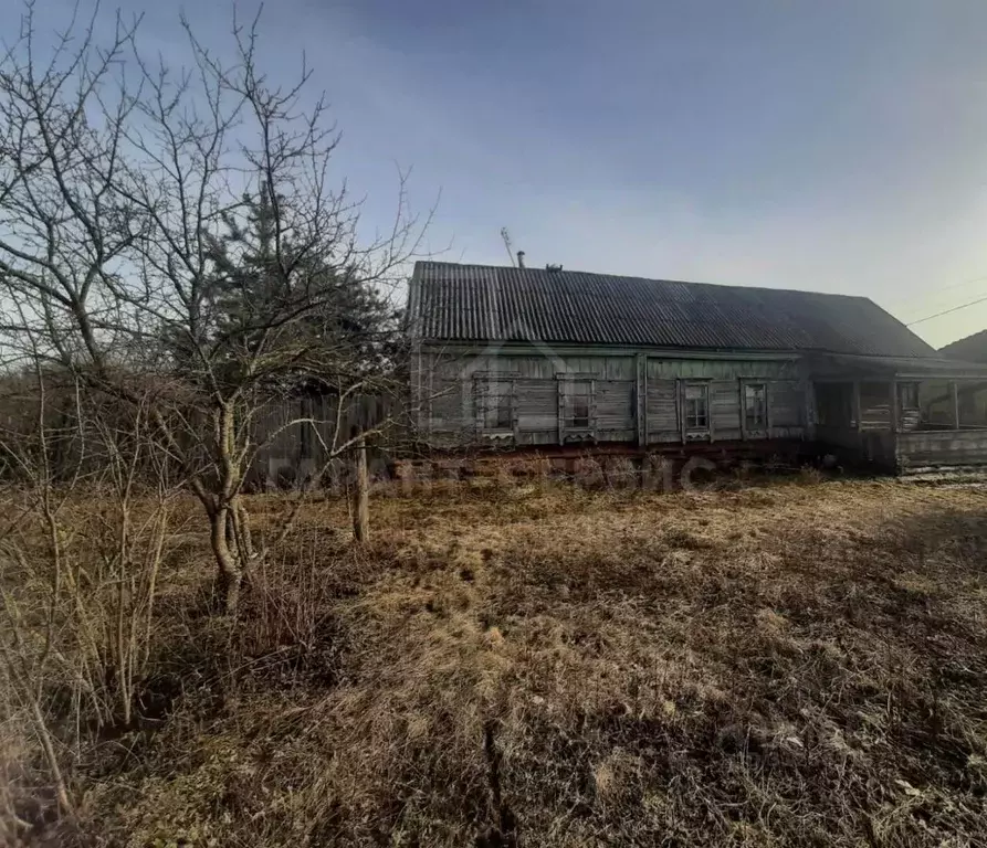 Дом в Тамбовская область, Тамбовский муниципальный округ, с. Большая ... - Фото 1