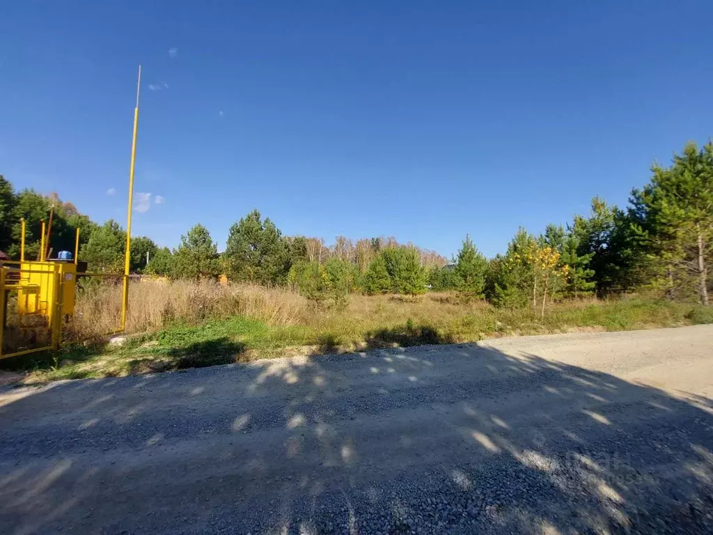 Участок в Новосибирская область, Новосибирский район, Кубовинский ... - Фото 2