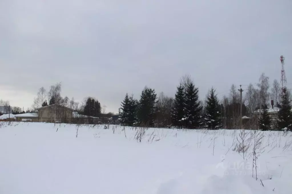 Участок в Московская область, Шаховская муниципальный округ, с. Середа ... - Фото 1