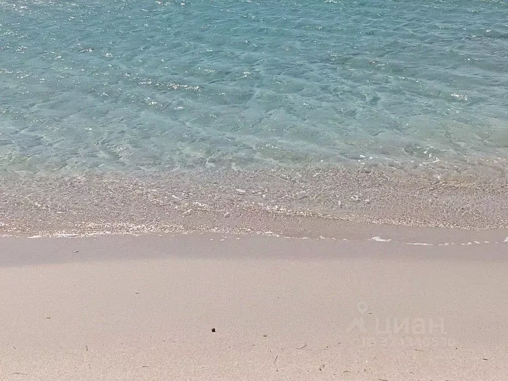 Участок в Крым, Черноморский район, Оленевское с/пос, с. Оленевка  ... - Фото 2