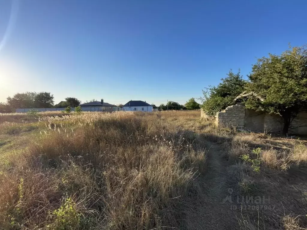 Участок в Краснодарский край, Анапа муниципальный округ, пос. ... - Фото 1