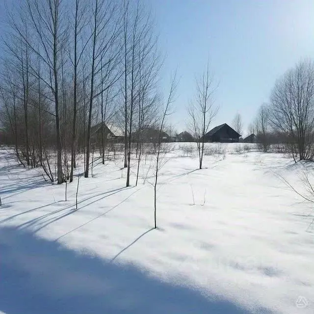 Участок в Кировская область, Киров городской округ, д. Шустовы ул. ... - Фото 2