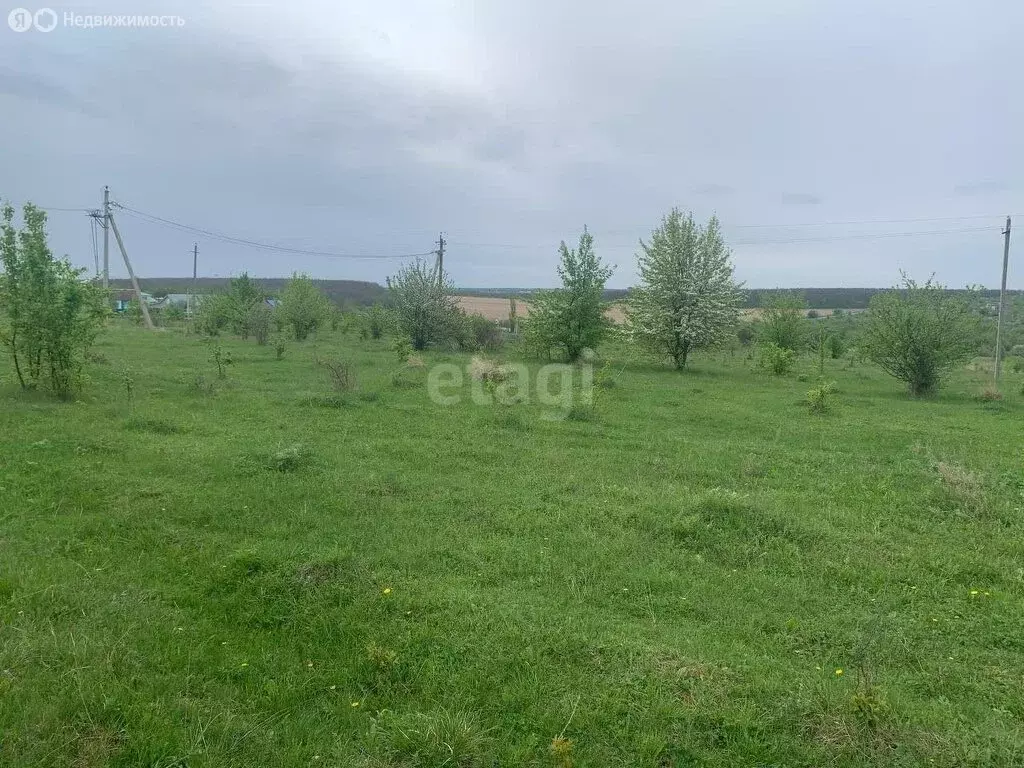 Участок в Дзержинское сельское поселение, СНТ Незабудка (6 м) - Фото 0